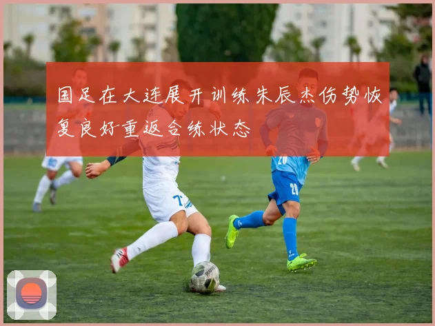 国足在大连展开训练朱辰杰伤势恢复良好重返合练状态