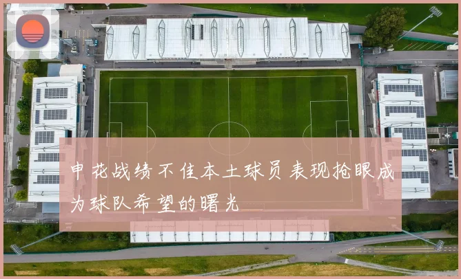 申花战绩不佳本土球员表现抢眼成为球队希望的曙光