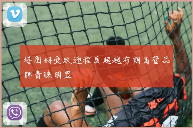 塔图姆受欢迎程度超越布朗高管品牌青睐明显