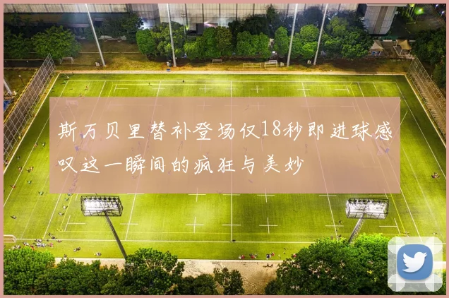 斯万贝里替补登场仅18秒即进球感叹这一瞬间的疯狂与美妙